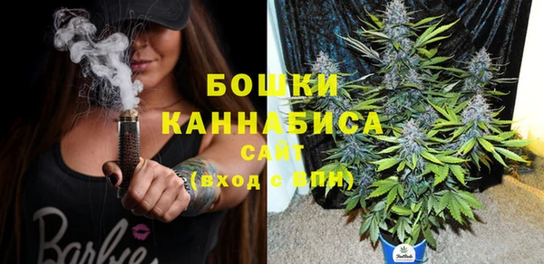 эйфоретик Бородино