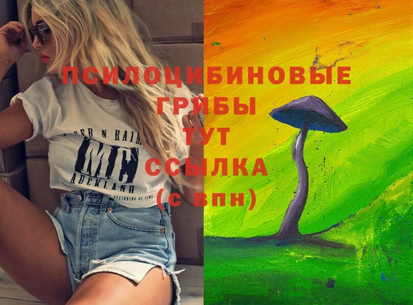 мяу мяу мука Бугульма