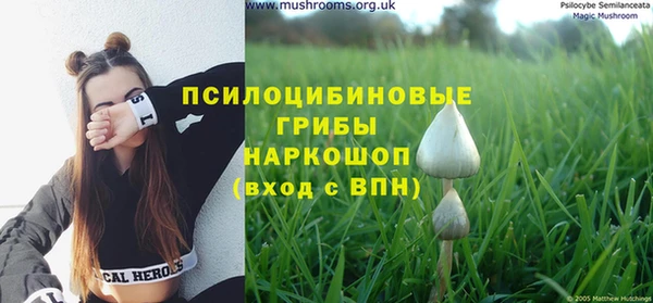 мяу мяу мука Бугульма