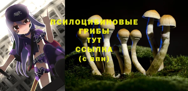 эйфоретик Бородино