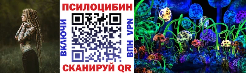 Псилоцибиновые грибы Psilocybe  Новопавловск 